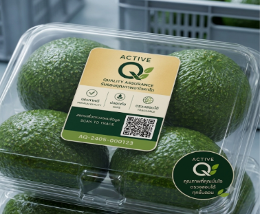 Fresh Avocado Whole